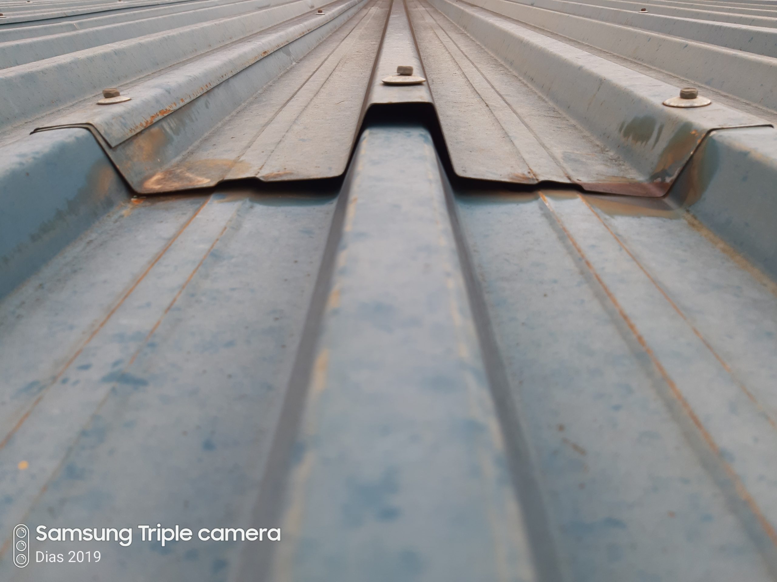 Dave Harmsen Assessments, Downpipes, Gutters, Maintenance, Metal Roofs, Repair, Rust Control, Sheeting, Waterproofing