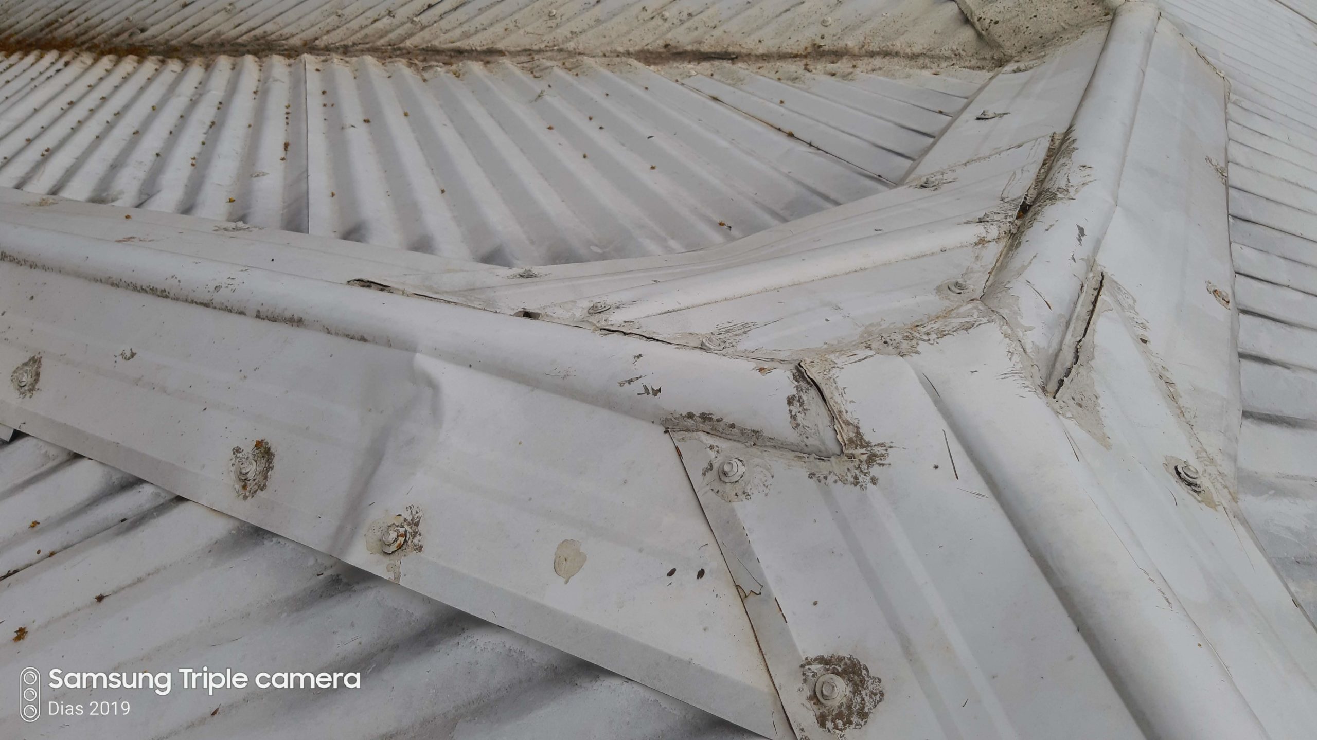 Lavender House Assessments, Coating, Downpipes, Gutters, Maintenance, Metal Roofs, Repair, Rust Control, Sheeting, Waterproofing